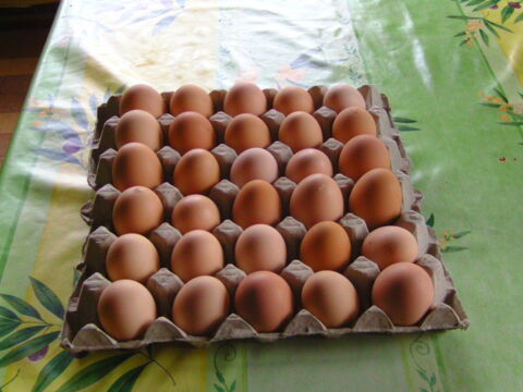 oeufs frais de poules 0 80170 Vrly