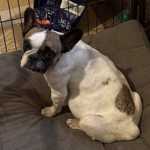 OZAIA 50 26270 Cliousclat