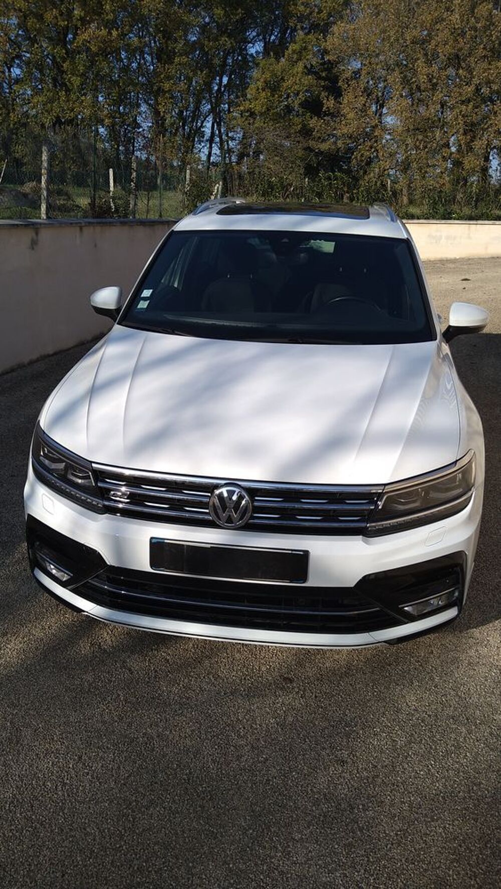 Tiguan 2.0 TDI 150 Carat 2016 occasion 49350 Chênehutte-Trèves-Cunault