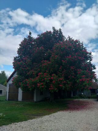  Maison � vendre 8 pi�ces 170 m�