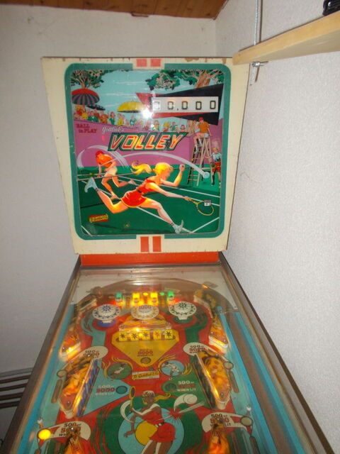 FLIPPER 1200 Le Fenouiller (85)