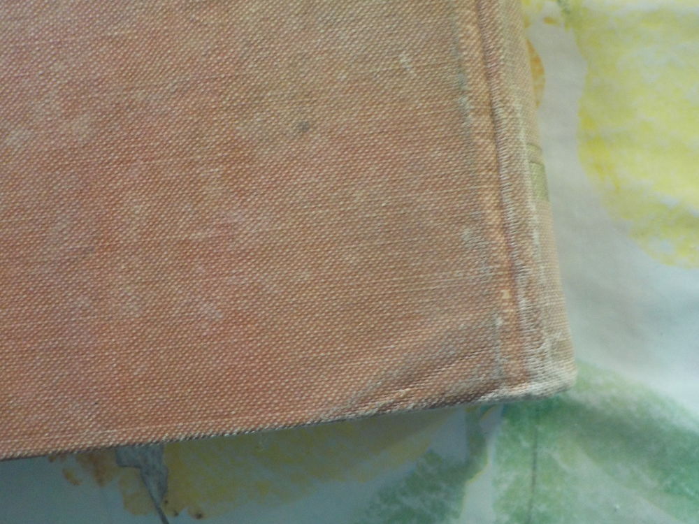 LE PETIT CHASSEUR DE LA PAMPA de Arnold GALOPIN 1 &agrave; 50 1925 Livres et BD