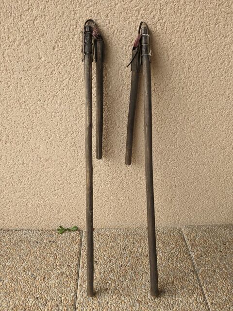 Fl�aux anciens 10 Le Palais-sur-Vienne (87)