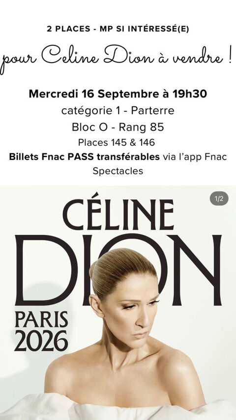 2 places Céline Dion Paris 16 septembre 26 ? Cat. 1 Parterre 450 Cergy (95)