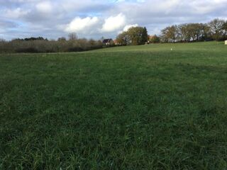  Terrain  vendre 6672 m Saint-cirq-souillaguet