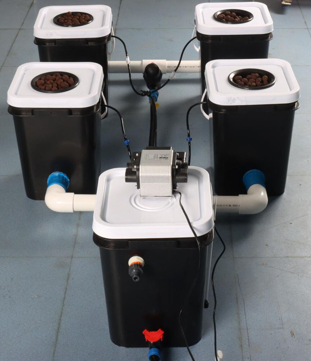 Syst&egrave;me Hydroponique N&eacute;erlandais en eau Profonde Jardin