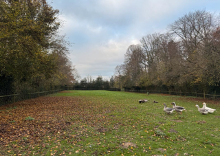  Maison � vendre 6 pi�ces 128 m�