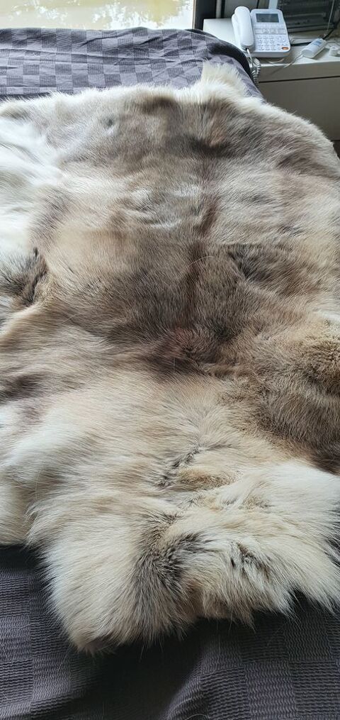 tapis peau de rennes 0 Pigut-Pluviers (24)