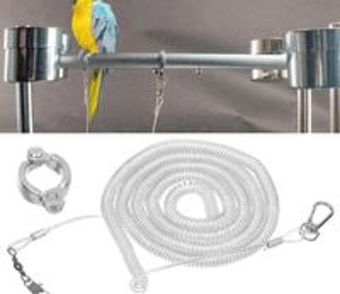   4 Harnais perruche calopsitte,autre oiseau ,anneau de patte 
