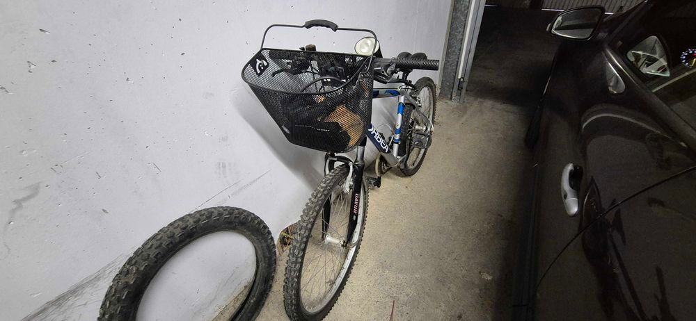 occasion Vélos