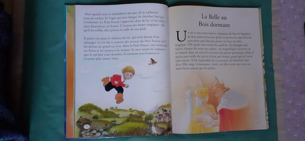 Livre pour enfant : Les contes les plus c&eacute;l&egrave;bres Livres et BD