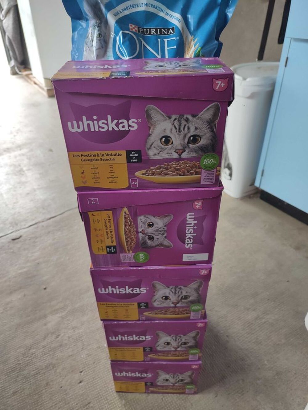 Nourriture pour chat Accessoires