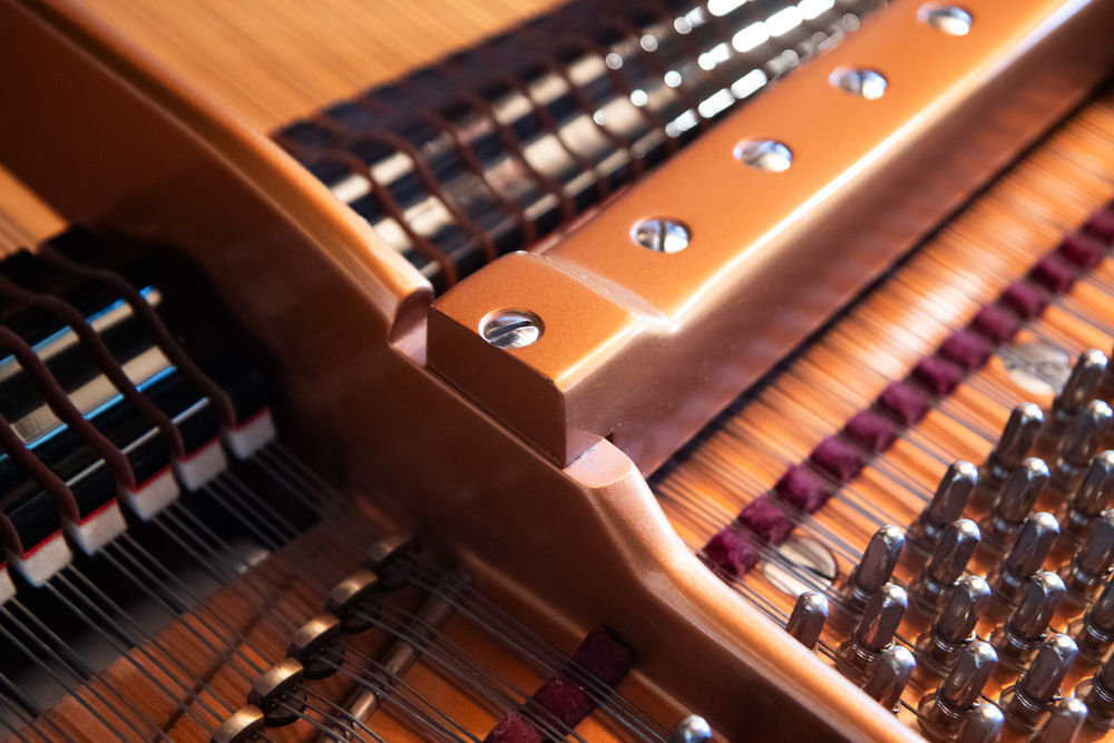 B&ouml;sendorfer Instruments de musique