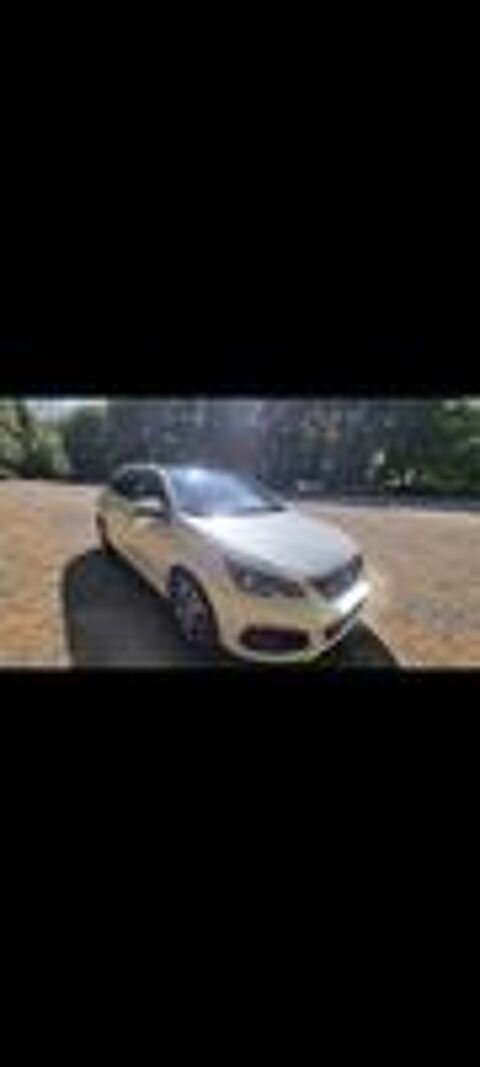 308 SW BlueHDi 130ch S&S EAT8 Allure Business 2019 occasion 29390 Sca&euml;r