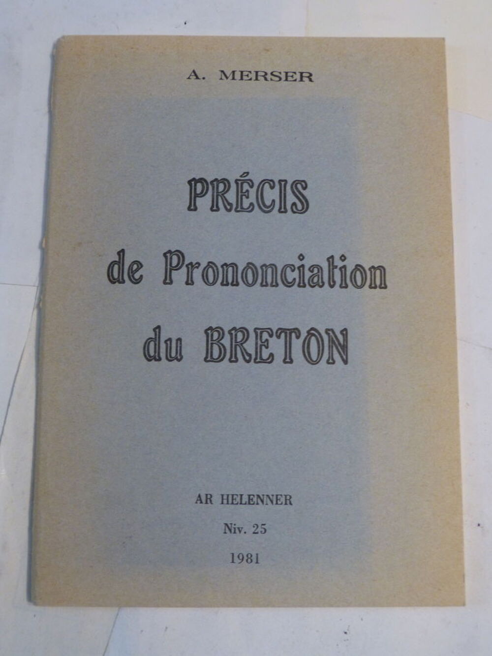 PRECIS DE GRAMMAIRE BRETONNE par ANDREO AR MERSER Livres et BD