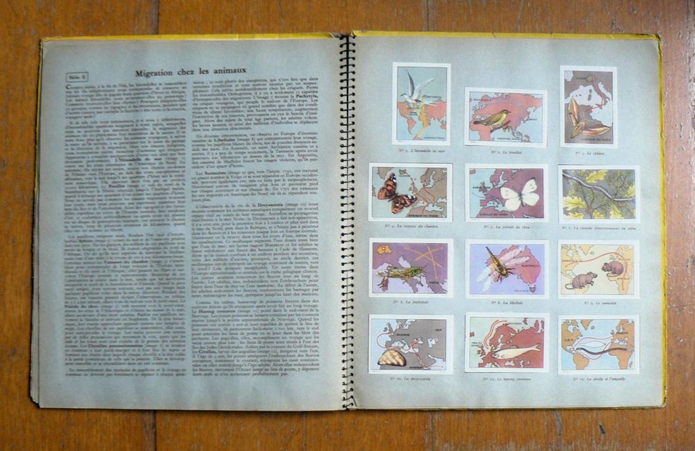 Album Les merveilles du monde - Nestl&eacute;-Kohler - 1953 