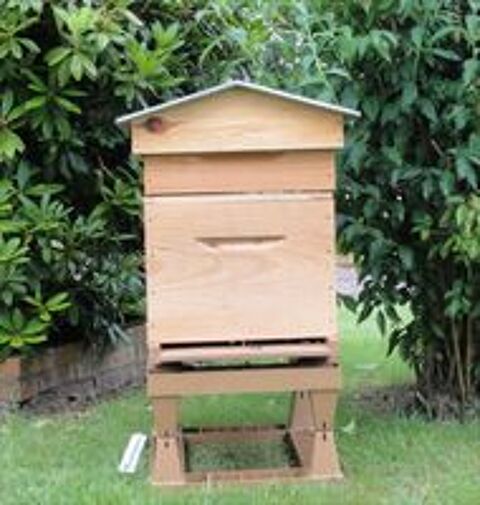   Apiculture Stages intensifs et d'élevage de reins 2026 