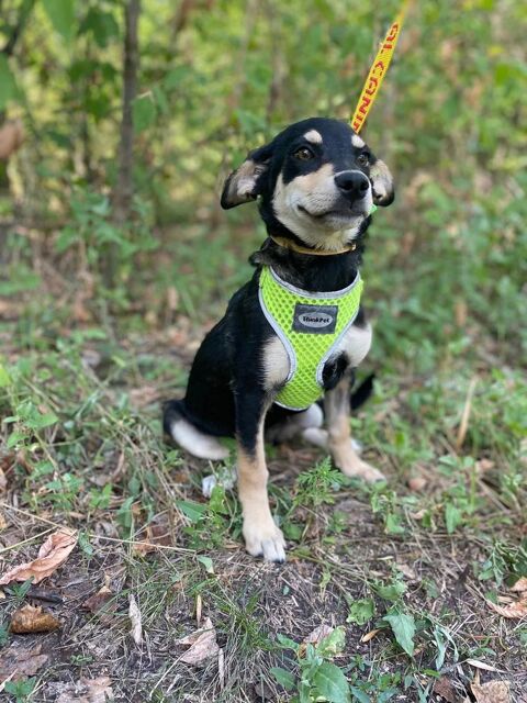 MICHELLE  actuellement en Ukraine 0 75018 Paris