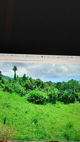  Terrain  vendre 2903 m