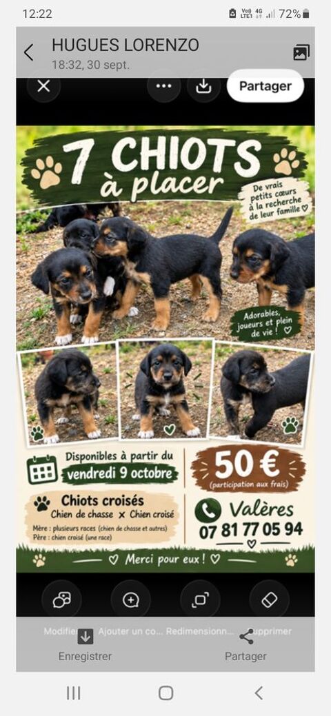 B&eacute;b&eacute;s chiots &agrave; r&eacute;server 0 37190 Vallères