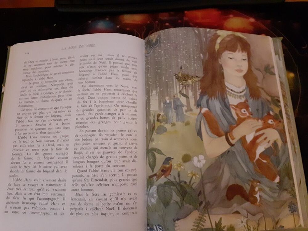 2 Livres de conte D'ANDERSEN belles illustrations Livres et BD