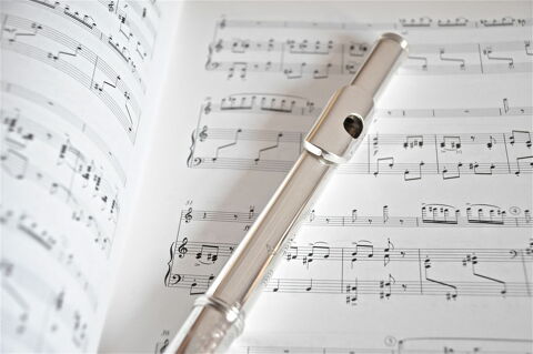 Cours particuliers de Flûte traversière 0 22400 Lamballe