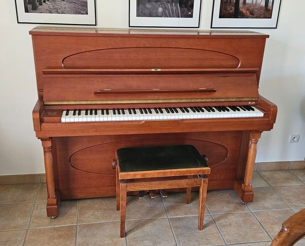 PIANO Instruments de musique