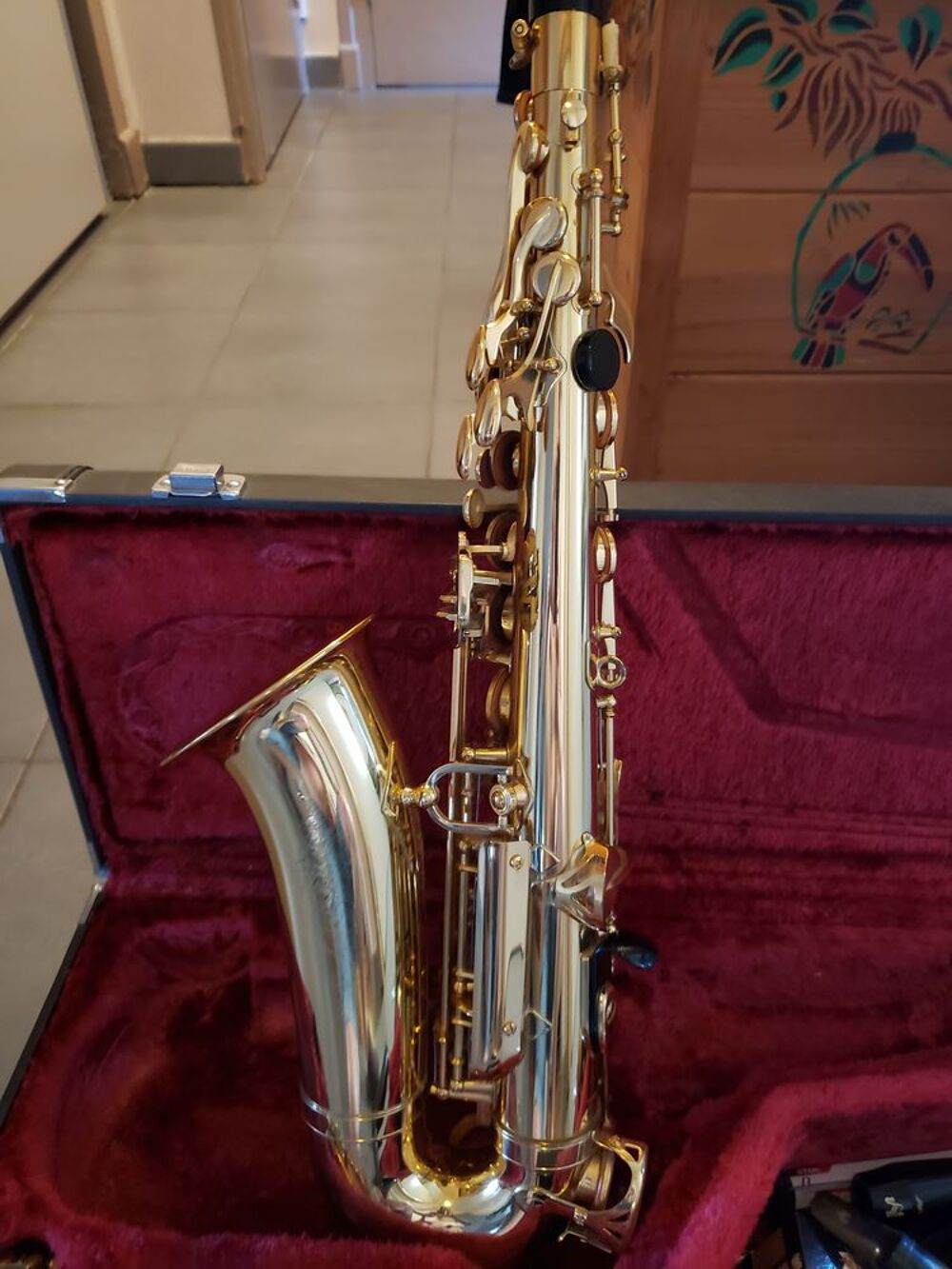 Saxophobe alto Instruments de musique