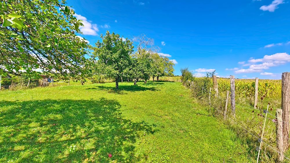 Vente Terrain Terrain constructible avec vue dgage Grandvelle-et-le-perrenot