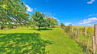  Terrain  vendre 1384 m