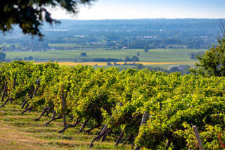  Proprit/chteau  vendre 9 pices 440 m