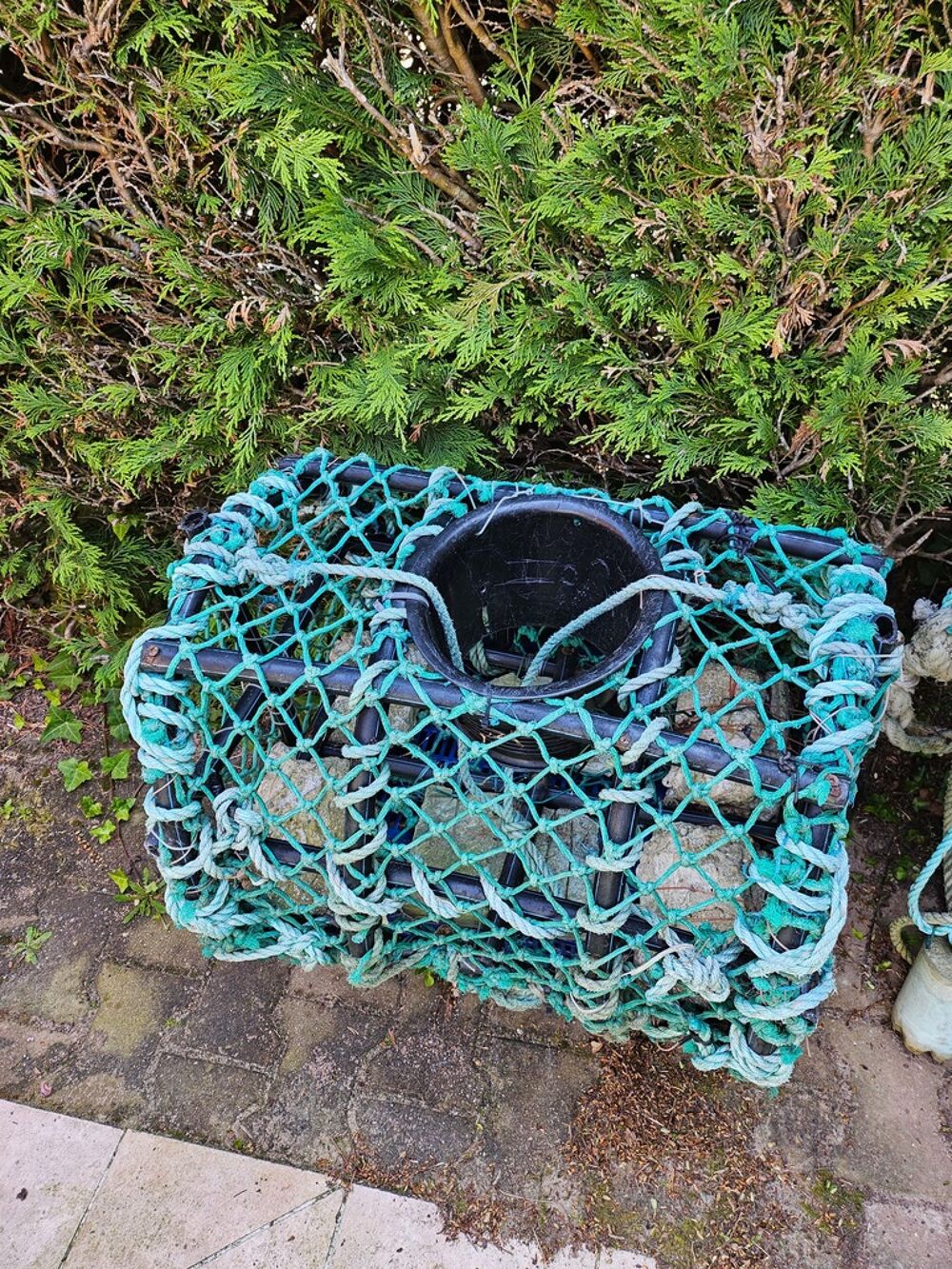 Casier &agrave; crustac&eacute;s plastique filet&eacute; vert Sports