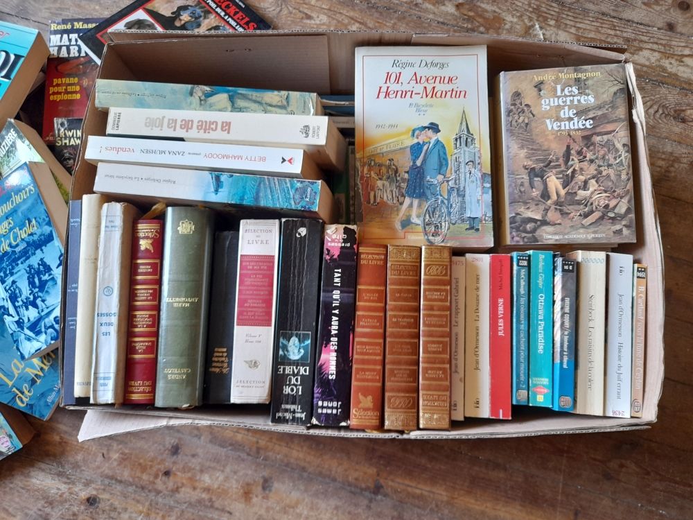 donne 2 cartons de livres divers Livres et BD