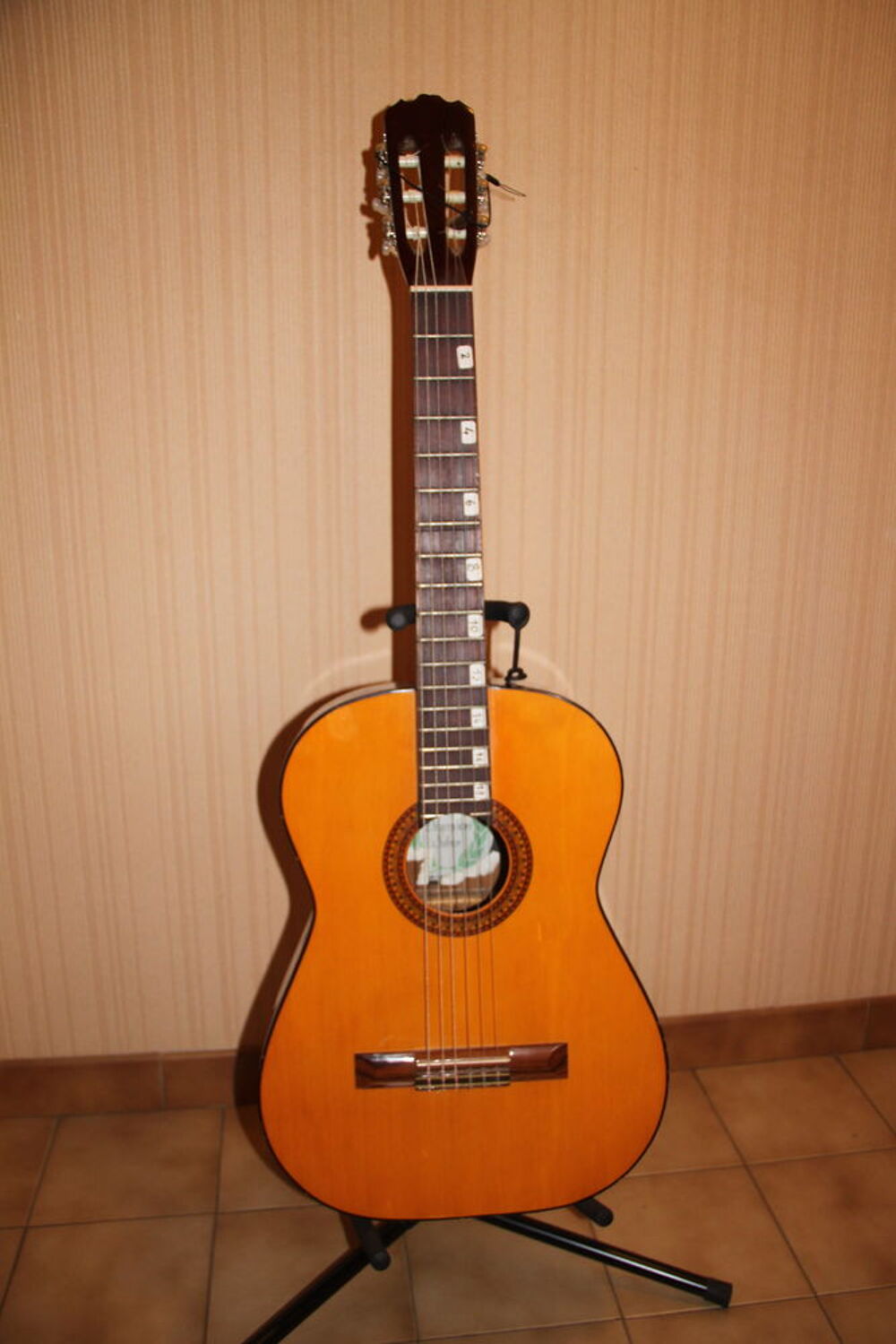 guitare Instruments de musique
