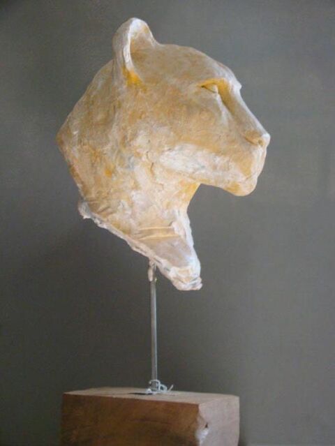 TETE LIONNE
149 La Ville-aux-Dames (37)