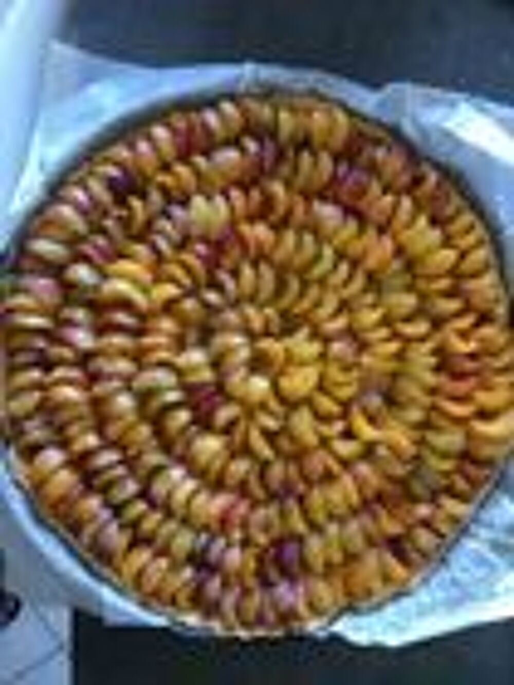 mirabelles Jardin