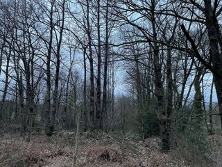  Terrain � vendre 3780 m� 