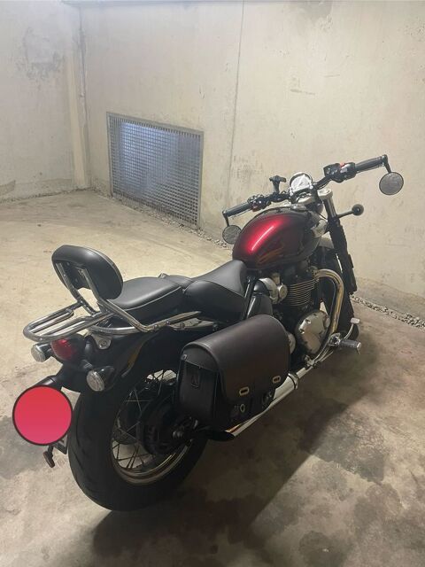 Moto TRIUMPH 2024 occasion Toulouse 31000