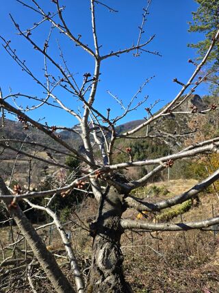  Terrain � vendre 422 m�