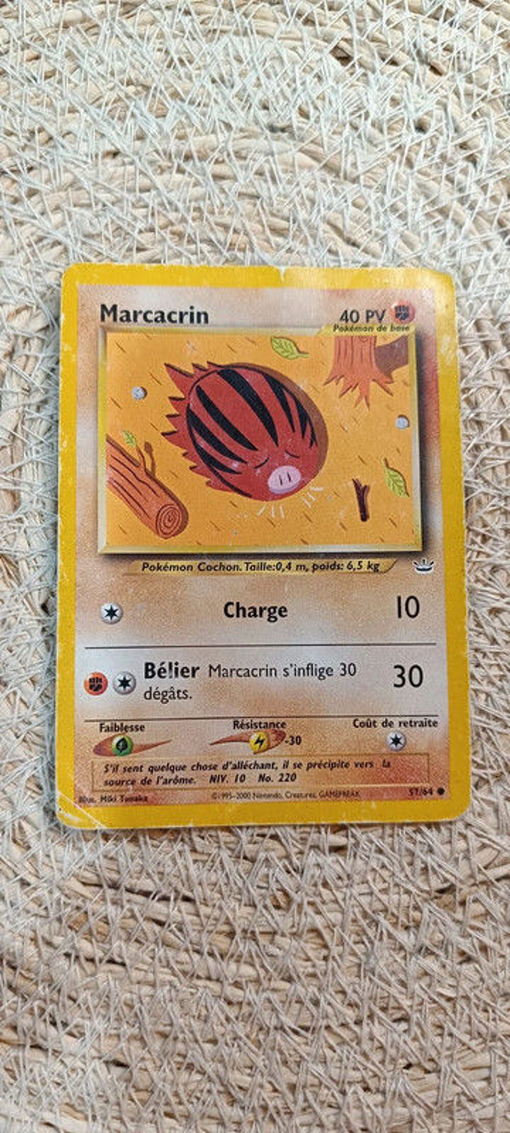 Carte Pok&eacute;mon - Marcacrin - 57/64 Jeux / jouets