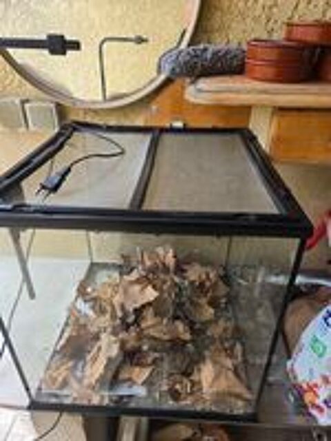   Terarium pour tortue ou autres,bon état
Avec lampe chauffant 