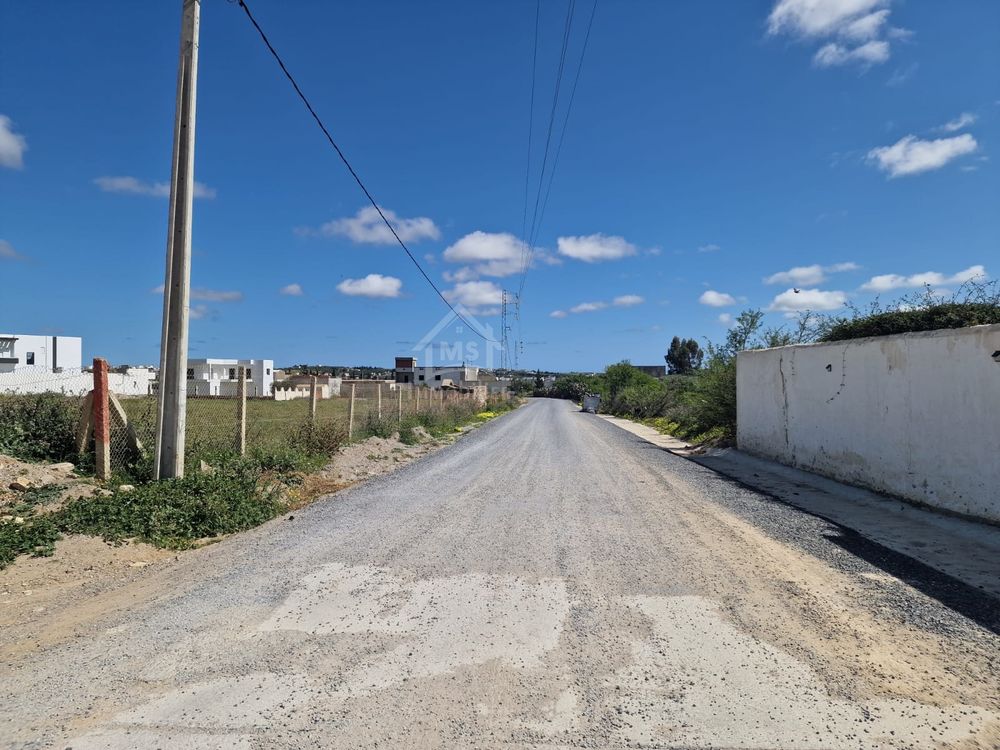 Vente Terrain 51355351????? ??? ???? ????? ???????? 387 ?² ?? ???????? Hammamet sud, tunisia (Tunisie)