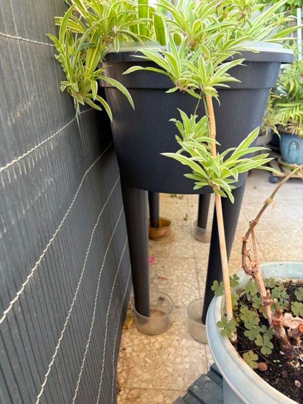 Jardini&egrave;re de terrasse ou balcon Jardin