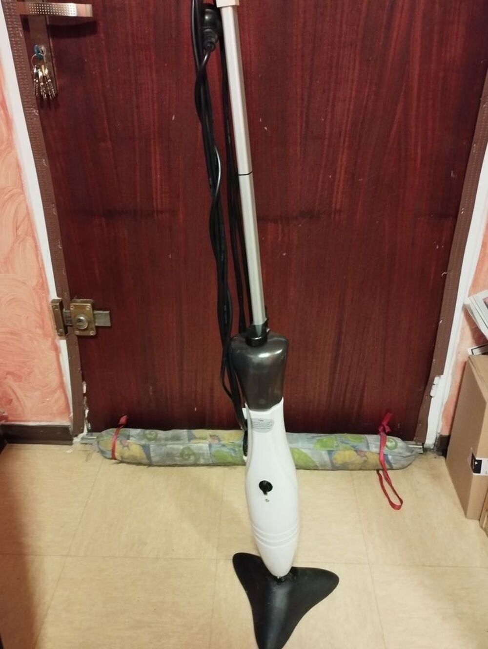 Balai vapeur Electroménager