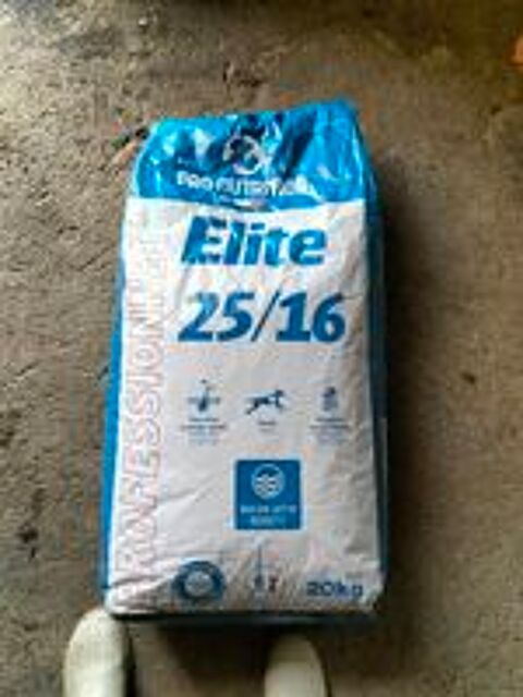   Croquette pour chien 20kg (neuf) 