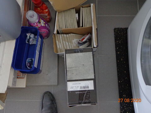 carelage mural 100 Rosi�res-aux-Salines (54)