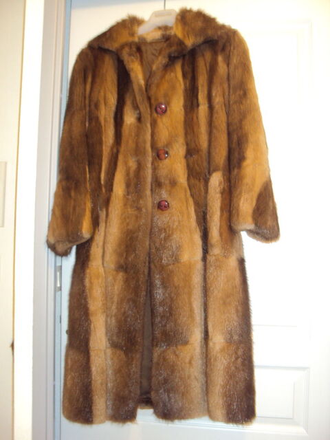 Manteau rat d'Amrique 120 Le Barcars (66)