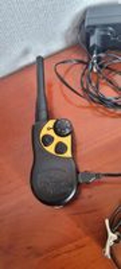   Collier pour chien SPORTDOG 