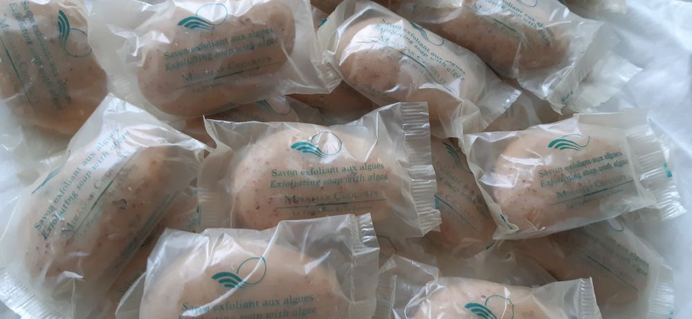 savon exfoliant aux algues forme galet - 50gr Puériculture