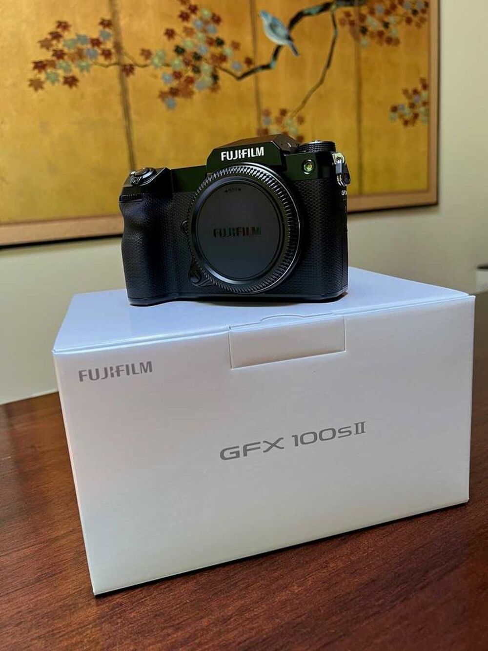 Superbe Fujifilm GFX 100SII Photos/Video/TV